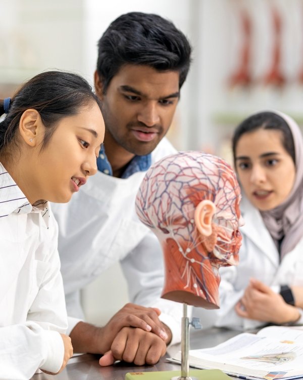 Three medical students watching and studying a human dummy head